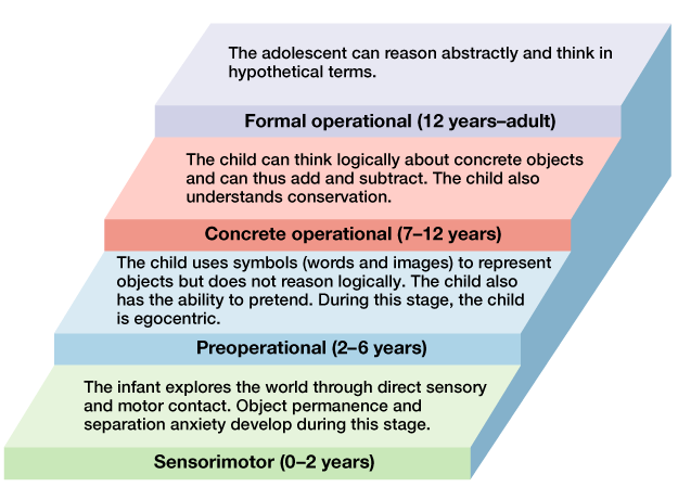 Image result for piagetâs theory of cognitive development