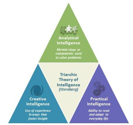 Image result for Triarchic theory of intelligence