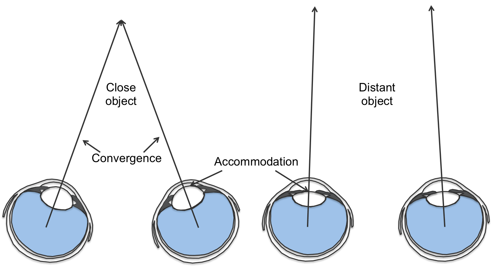 3 Sensory And Perception GitBook