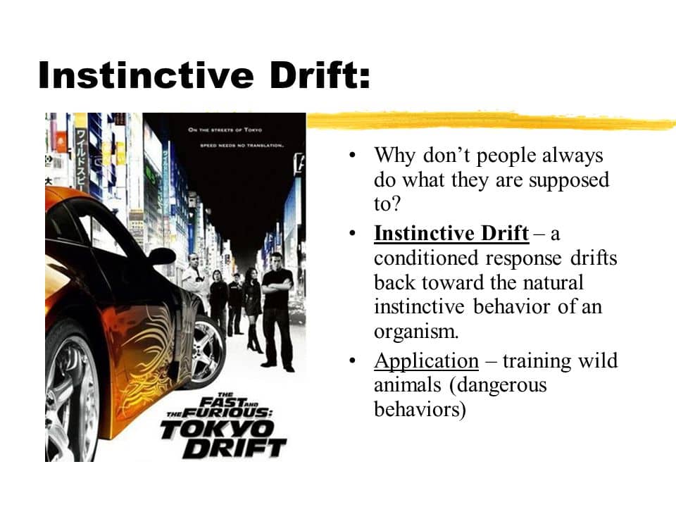 Image result for instinctive drift