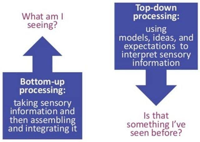 Image result for top-down processing