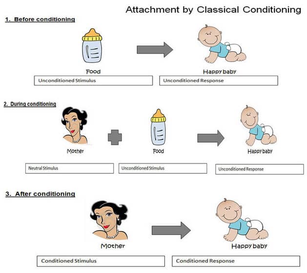 Image result for attachment psychology