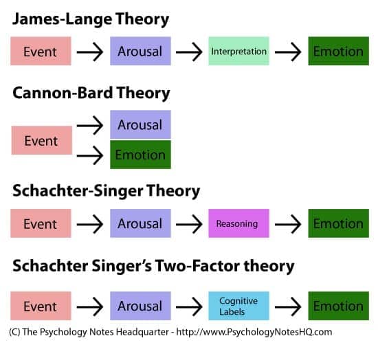 Image result for James-Lange theory
