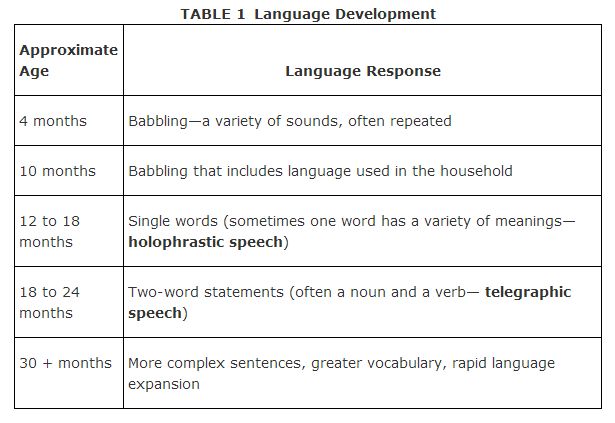 Image result for development of language psychology