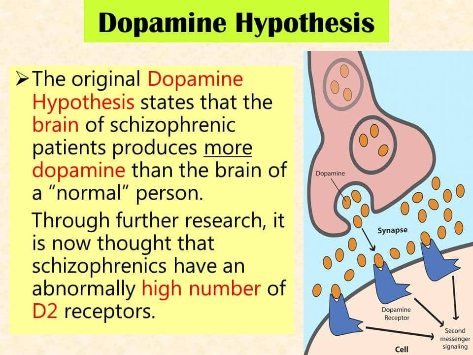 Image result for Schizophrenia neurotransmitter dopamine