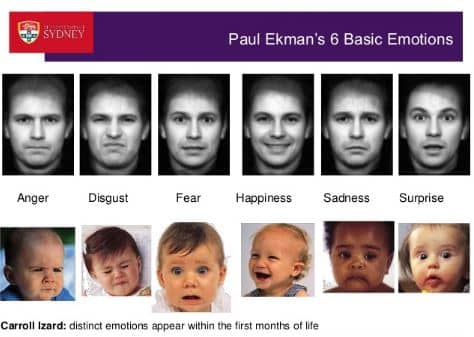 Image result for Ekman 6 emotions