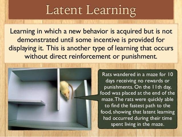 Image result for latent learning