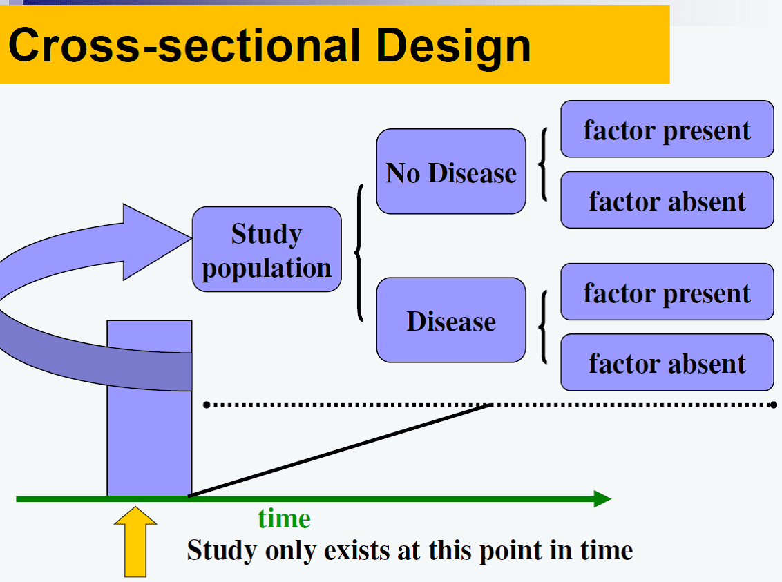 Image result for cross-sectional study
