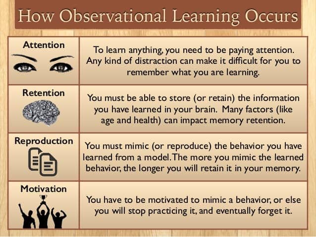 Image result for Observational Learning