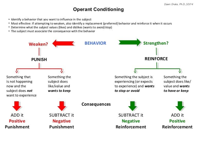Image result for Operant Conditioning