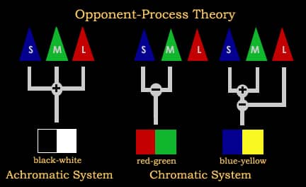 Image result for opponent-process theory