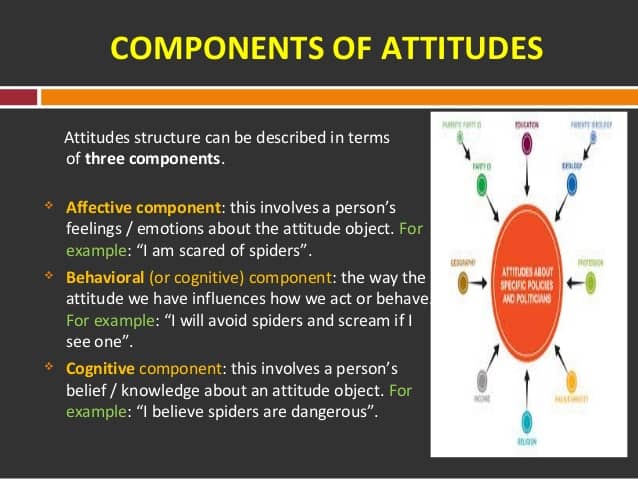 Image result for components of attitude