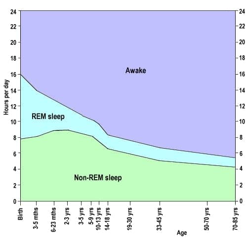 Image result for REM adult child sleep