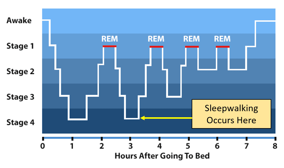 sleep-cycle1