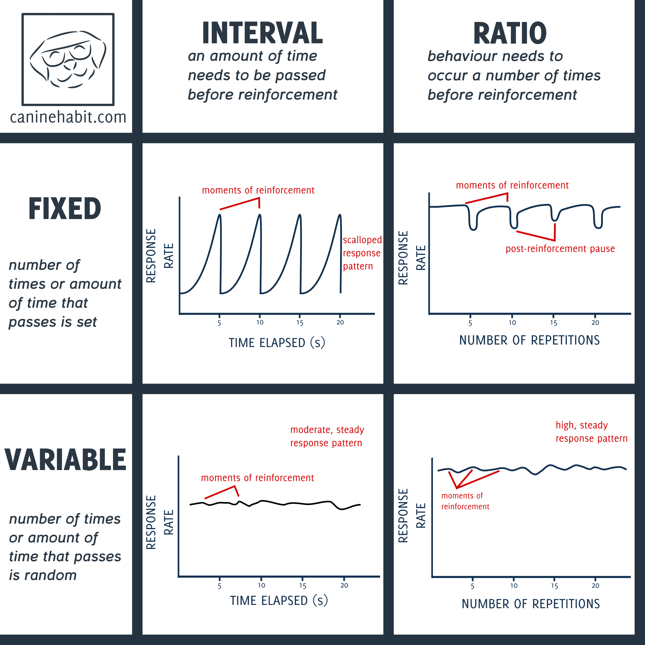 Image result for ratio schedule