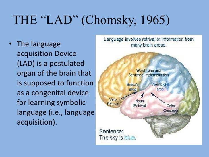 Image result for noam chomsky Language Acquisition Device