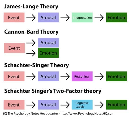 Image result for emotion theory