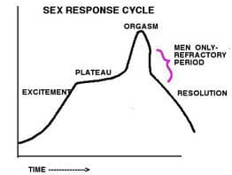 Image result for sexual response cycle refractory period