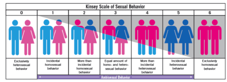 Image result for Kinsey scale