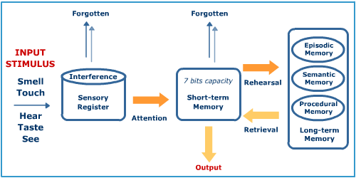 Image result for Sensory register